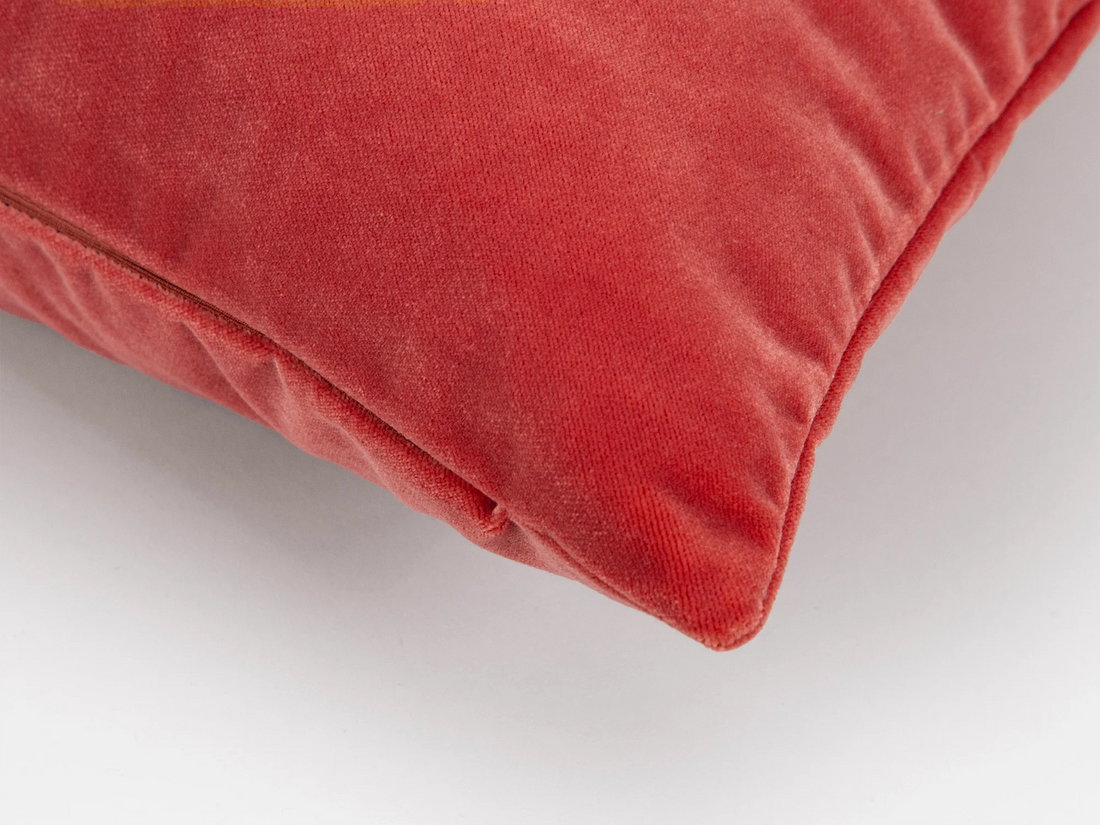 Rose Velvet Pillow Cover
